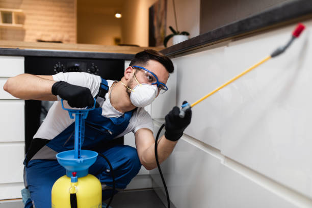 Best Cockroach Control Services  in Hohenwald, TN