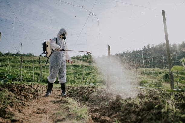 Best Local Pest Control Services  in Hohenwald, TN