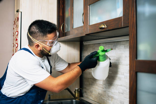 Best Rat Extermination Near Me  in Hohenwald, TN
