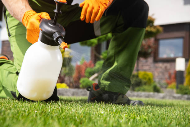 Best Bed Bug Extermination  in Hohenwald, TN