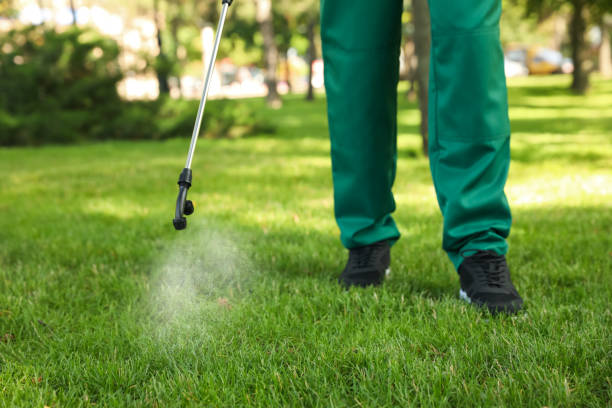 Best Pest Prevention Services  in Hohenwald, TN