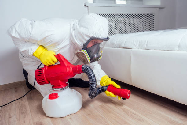 Best Termite Control Services  in Hohenwald, TN