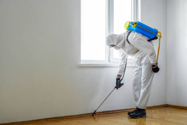 Best Best Pest Control Companies  in Hohenwald, TN