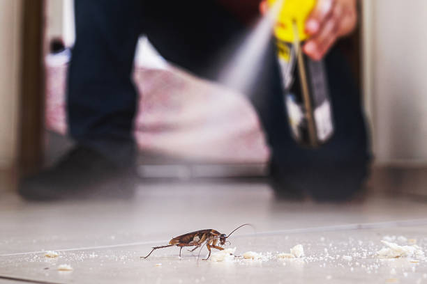 Best Cockroach Control Services  in Hohenwald, TN