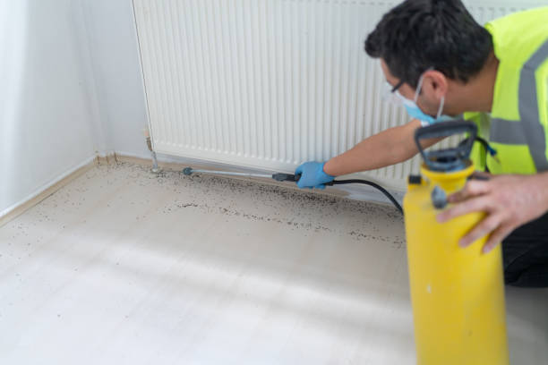 Pest Control for Restaurants in Hohenwald, TN