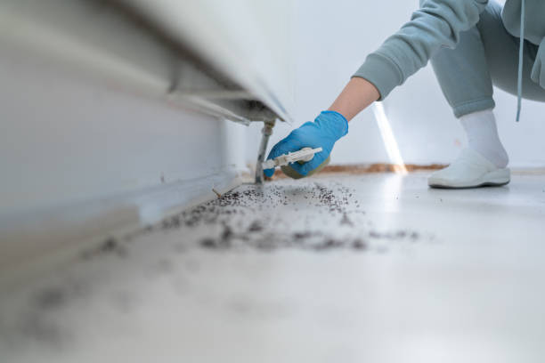 Best Best Pest Control Companies  in Hohenwald, TN
