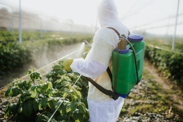 Best Pest Control Treatment  in Hohenwald, TN